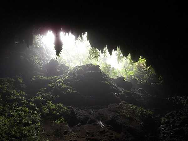 Cuevas del río Camuy