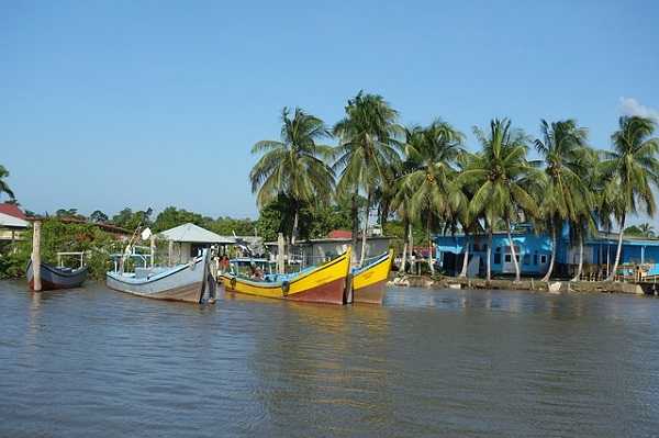 Visitar en Surinam