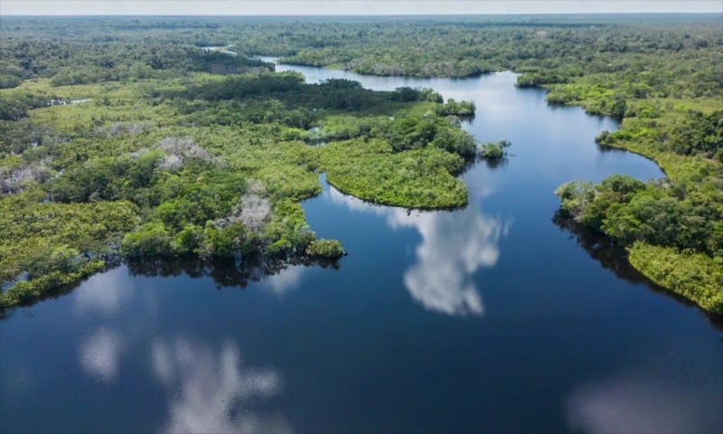El Lago Rimachi en la Amazonía peruana 1 Lago Rimachi